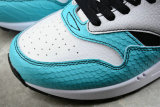 Nike Air Max 1 Shoes (35)