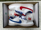 Authentic Nike SB Dunk Low Blue/White/Red