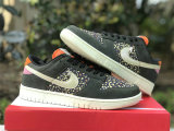 Authentic Nike Dunk Low “Rainbow Trout”
