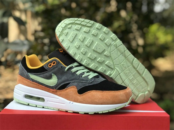 Authentic Nike Air Max 1 “Ugly Duckling”