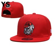NCAA Florida Gators Snapback Hat (23)