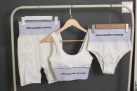 Alexander Wang Bikini S-XL (1)
