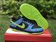 Authentic Nike Dunk Low “Acid Wash”