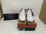 Authentic Air Jordan 12 “Twist”