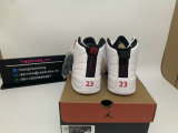 Authentic Air Jordan 12 “Twist”