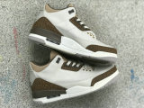 Authentic Air Jordan 3 GS “Palomino”