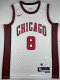 Miami Heat NBA Jersey (11)