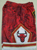 NBA Shorts (103)