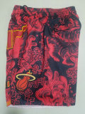 NBA Shorts (108)