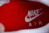 Nike Air Max 1 Shoes (45)