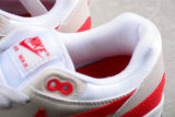 Nike Air Max 1 Shoes (45)