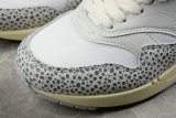 Nike Air Max 1 Shoes (41)