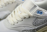 Nike Air Max 1 Shoes (41)