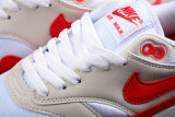 Nike Air Max 1 Shoes (45)