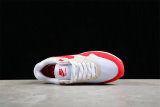 Nike Air Max 1 Shoes (45)
