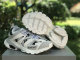 Balenciaga Track 3.0 Sneaker (32)