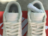 Authentic Nike Dunk Low WMNS “The Future is Equal”