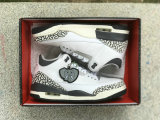 Authentic Air Jordan 3 GS “Hide N’ Sneak”