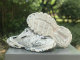 Balenciaga Track 3.0 Sneaker (42)