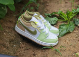 Air Jordan 1 Kid Shoes (48)