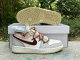 Authentic Air Jordan 1 Low GS Sail/Grey/Vert