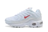 Nike Air Max Plus TN Kid (8)