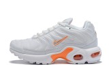 Nike Air Max Plus TN Kid  (14)