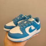 Nike SB Dunk Kid Shoes (15)
