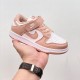 Nike SB Dunk Kid Shoes (24)