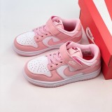 Nike SB Dunk Kid Shoes (19)