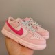 Nike SB Dunk Kid Shoes (14)