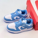 Nike SB Dunk Kid Shoes (22)