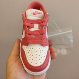 Nike SB Dunk Kid Shoes (16)