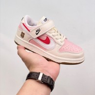 Nike SB Dunk Kid Shoes (29)