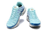 Air Max Plus Shoes - 003