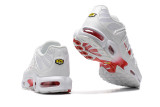 Air Max Plus Shoes - 001