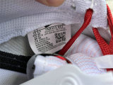 Authentic Nike Dunk Low “All Petals United”