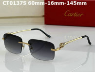 Cartier Sunglasses AAA (356)