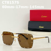 Cartier Sunglasses AAA (24)