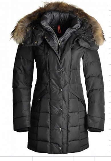 PSJ Down Jacket Women (27)