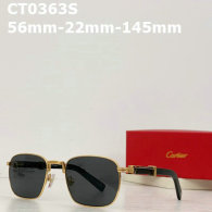 Cartier Sunglasses AAA (74)