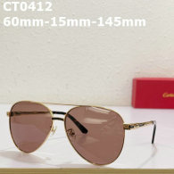 Cartier Sunglasses AAA (29)
