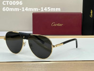 Cartier Sunglasses AAA (667)