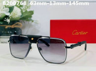 Cartier Sunglasses AAA (174)