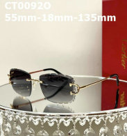 Cartier Sunglasses AAA (124)