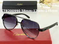 Cartier Sunglasses AAA (772)