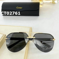 Cartier Sunglasses AAA (248)