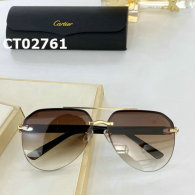Cartier Sunglasses AAA (481)