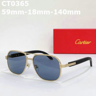 Cartier Sunglasses AAA (93)