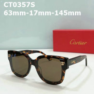 Cartier Sunglasses AAA (70)